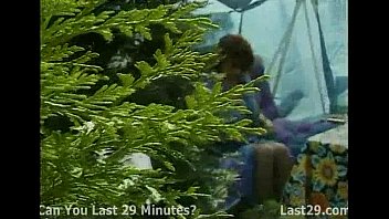 Peeping Tom Spots a Big Bush in the Garden